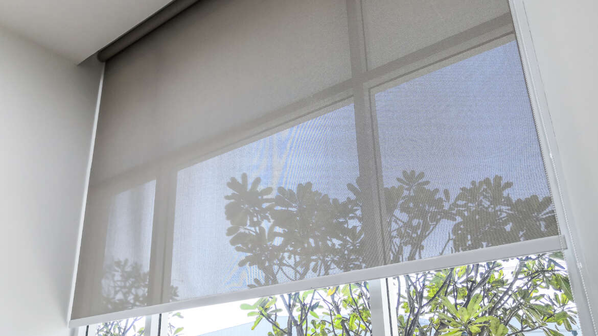 Motorisation Blinds